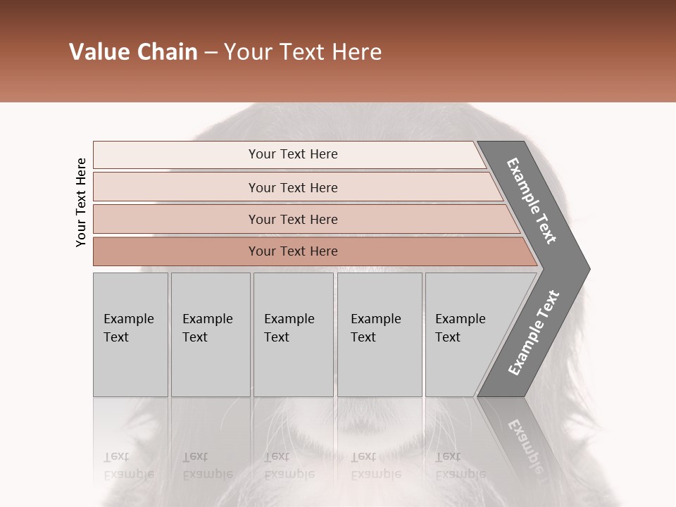 A Black And White Dog Is Looking At The Camera PowerPoint Template