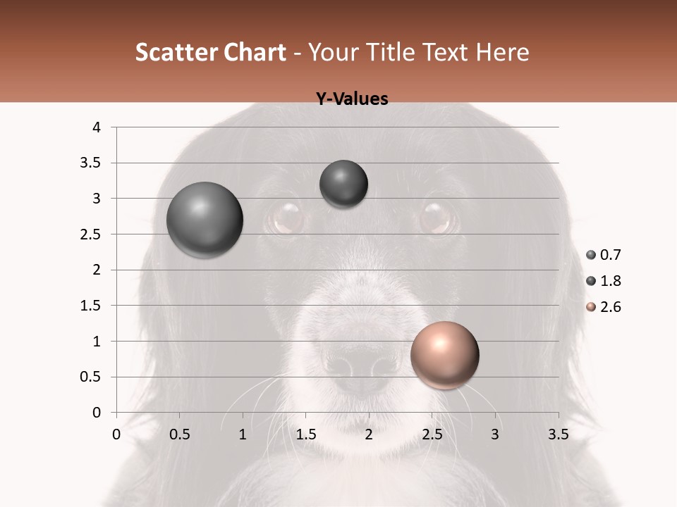 A Black And White Dog Is Looking At The Camera PowerPoint Template
