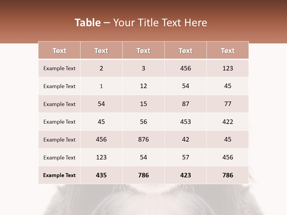 A Black And White Dog Is Looking At The Camera PowerPoint Template