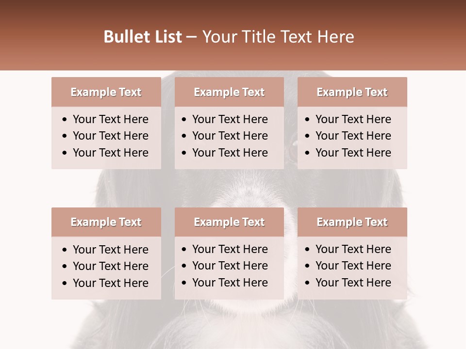 A Black And White Dog Is Looking At The Camera PowerPoint Template