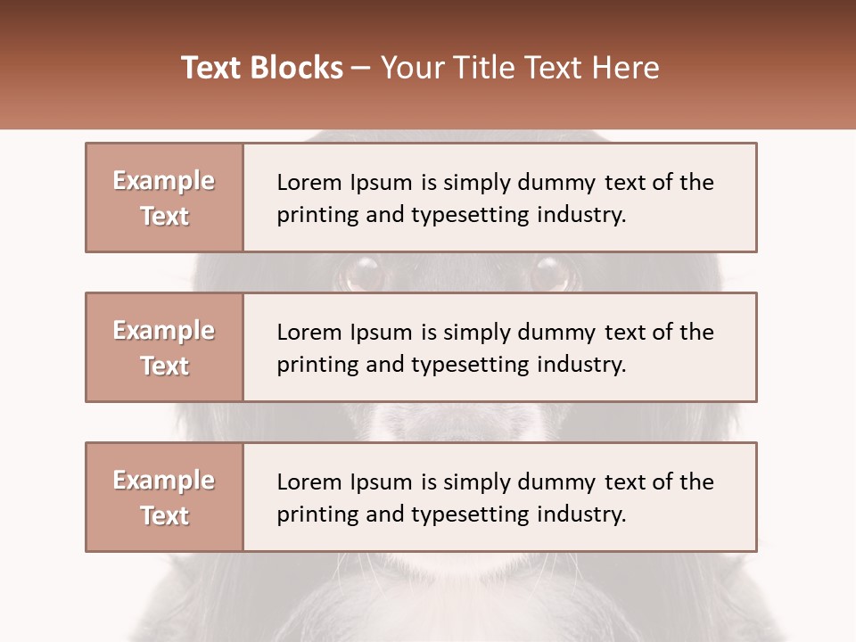 A Black And White Dog Is Looking At The Camera PowerPoint Template