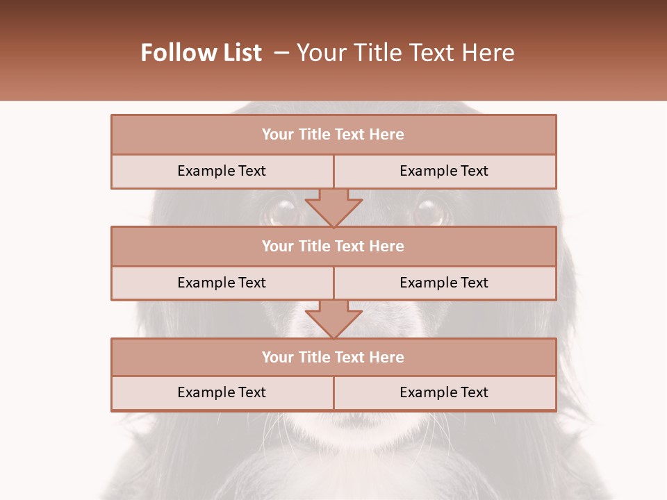 A Black And White Dog Is Looking At The Camera PowerPoint Template