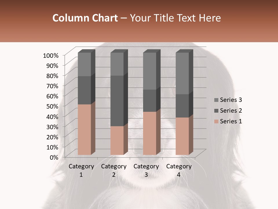 A Black And White Dog Is Looking At The Camera PowerPoint Template