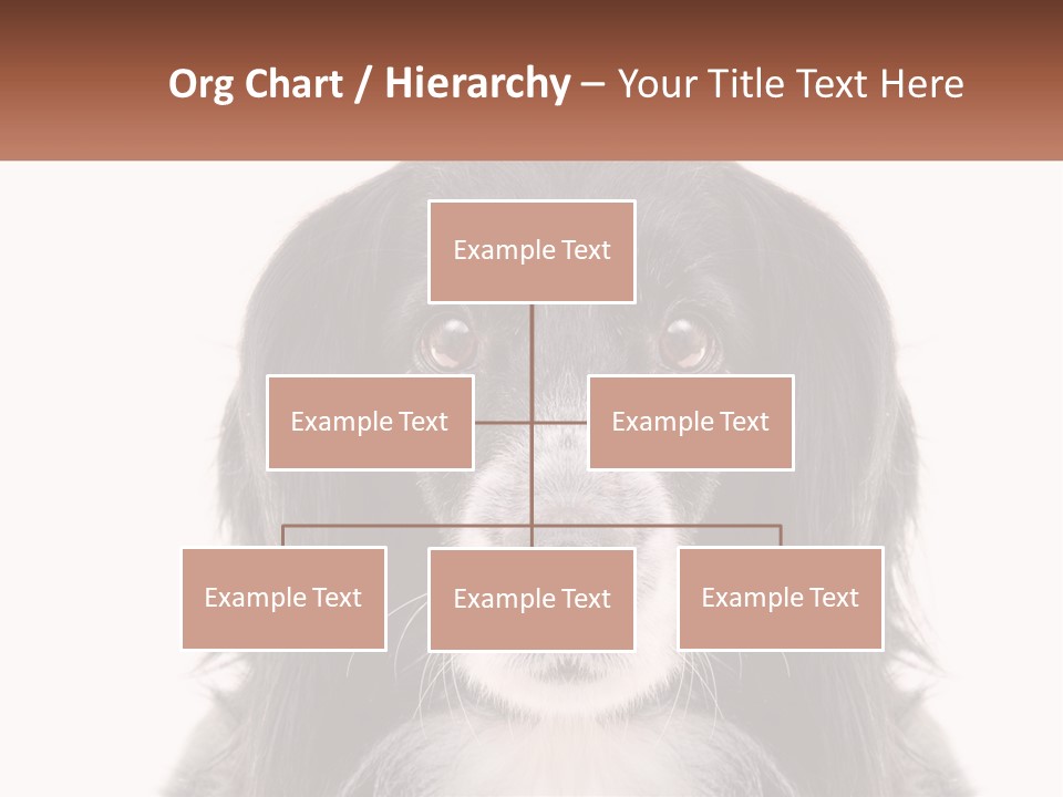 A Black And White Dog Is Looking At The Camera PowerPoint Template