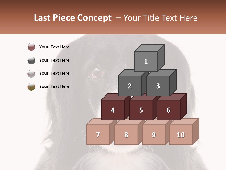 A Black And White Dog Is Looking At The Camera PowerPoint Template
