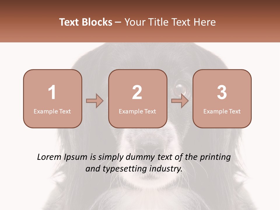 A Black And White Dog Is Looking At The Camera PowerPoint Template