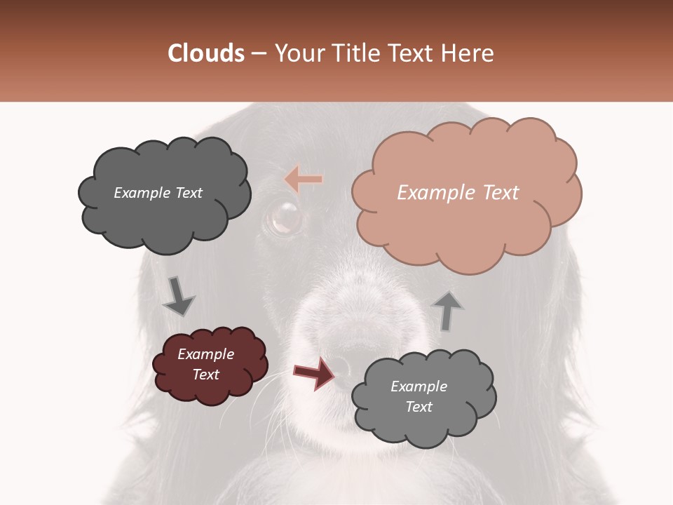 A Black And White Dog Is Looking At The Camera PowerPoint Template