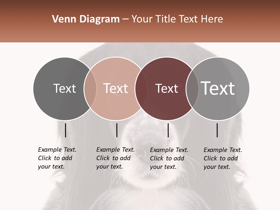 A Black And White Dog Is Looking At The Camera PowerPoint Template