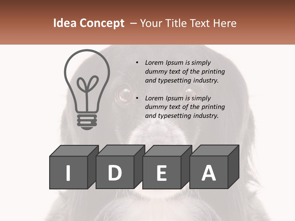 A Black And White Dog Is Looking At The Camera PowerPoint Template