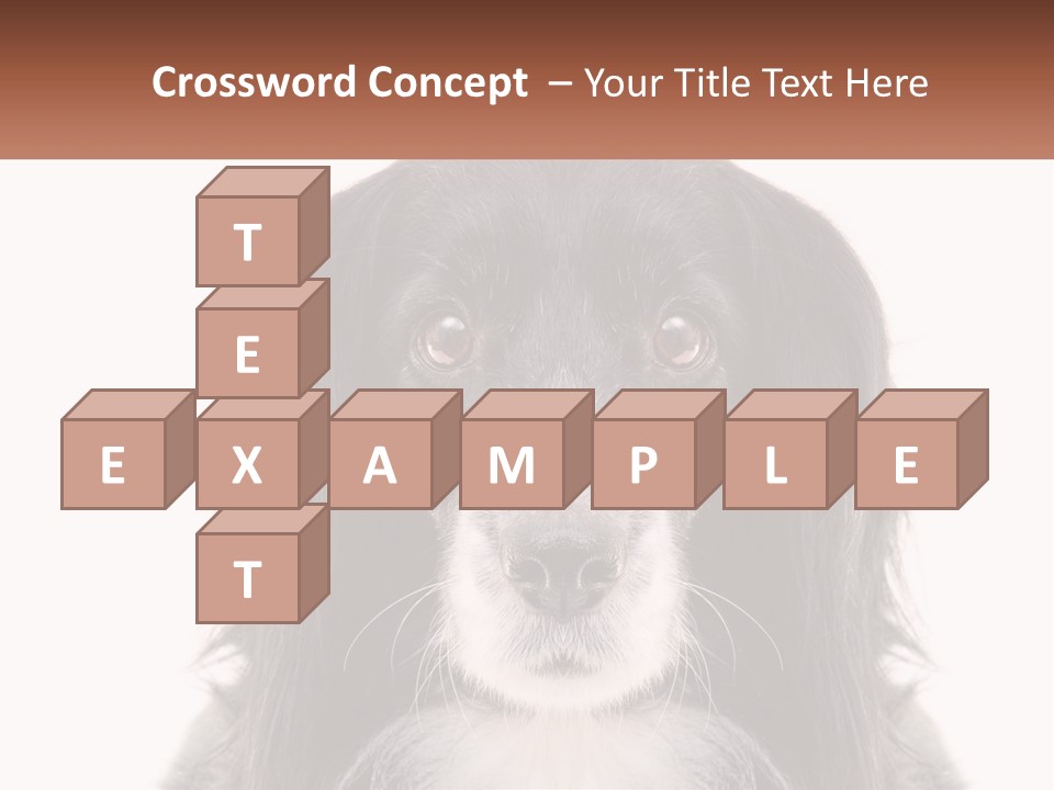 A Black And White Dog Is Looking At The Camera PowerPoint Template