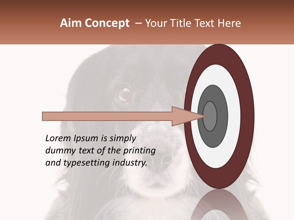 A Black And White Dog Is Looking At The Camera PowerPoint Template