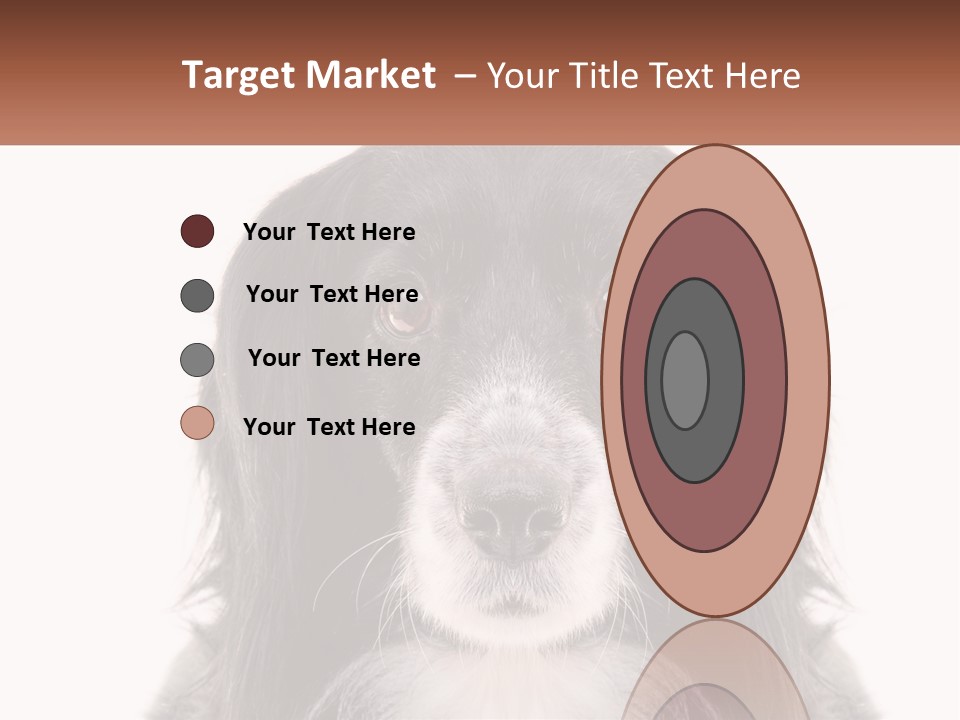 A Black And White Dog Is Looking At The Camera PowerPoint Template