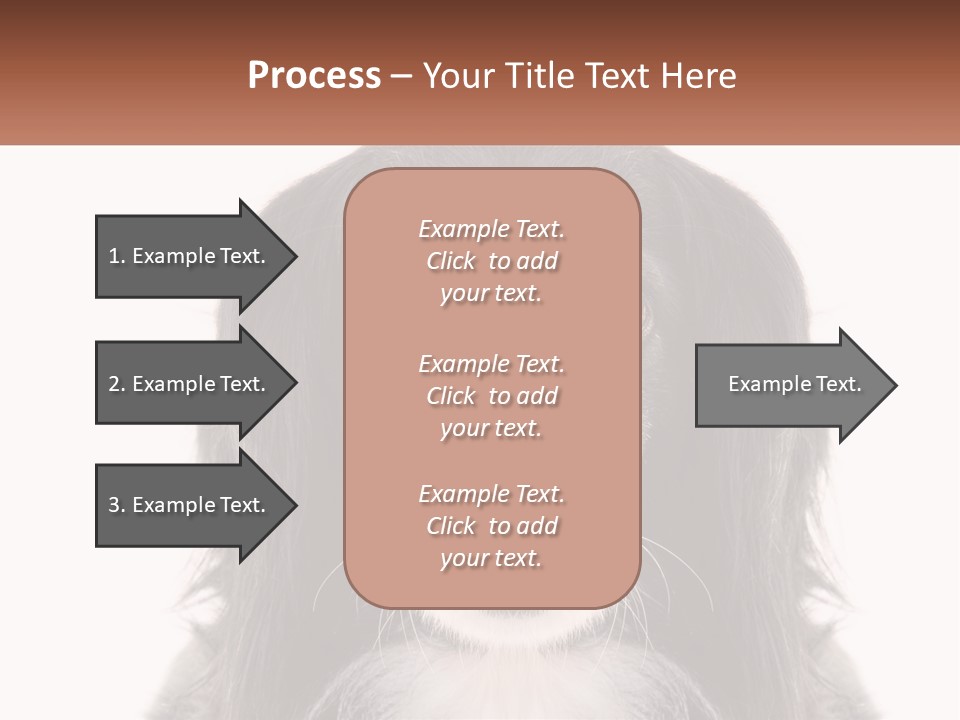 A Black And White Dog Is Looking At The Camera PowerPoint Template