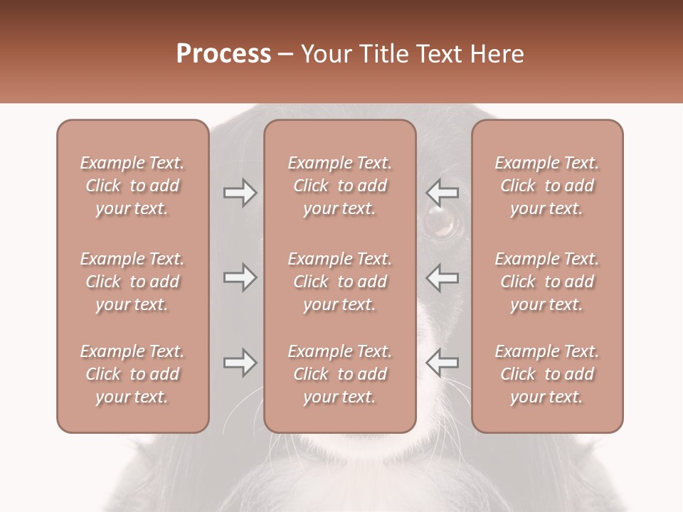 A Black And White Dog Is Looking At The Camera PowerPoint Template