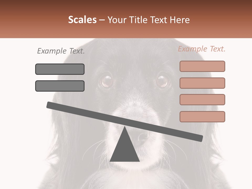 A Black And White Dog Is Looking At The Camera PowerPoint Template
