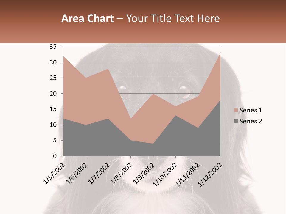 A Black And White Dog Is Looking At The Camera PowerPoint Template