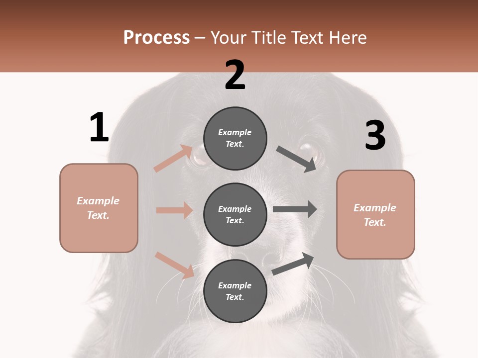 A Black And White Dog Is Looking At The Camera PowerPoint Template