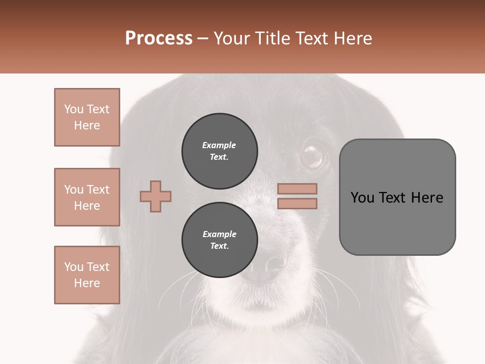 A Black And White Dog Is Looking At The Camera PowerPoint Template