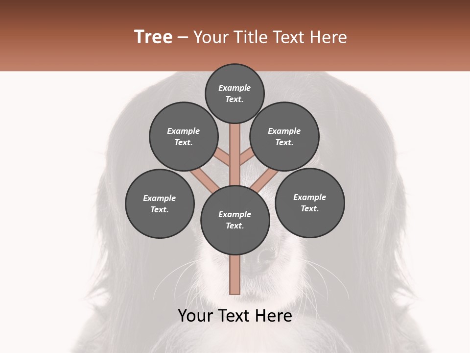 A Black And White Dog Is Looking At The Camera PowerPoint Template