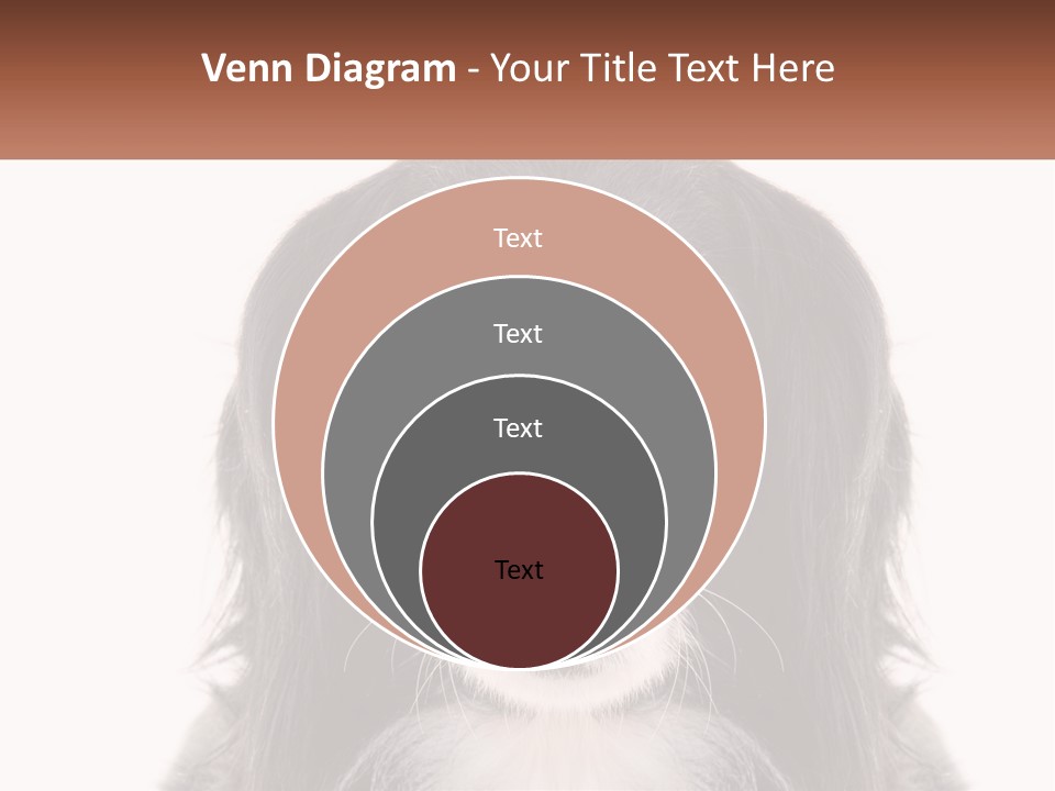 A Black And White Dog Is Looking At The Camera PowerPoint Template
