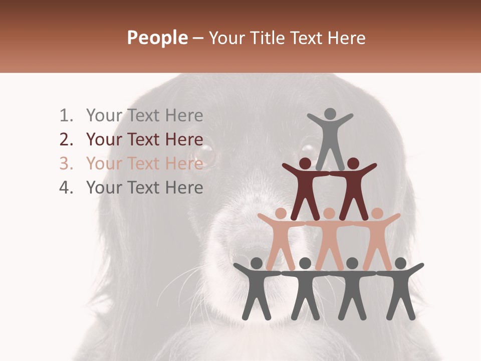 A Black And White Dog Is Looking At The Camera PowerPoint Template