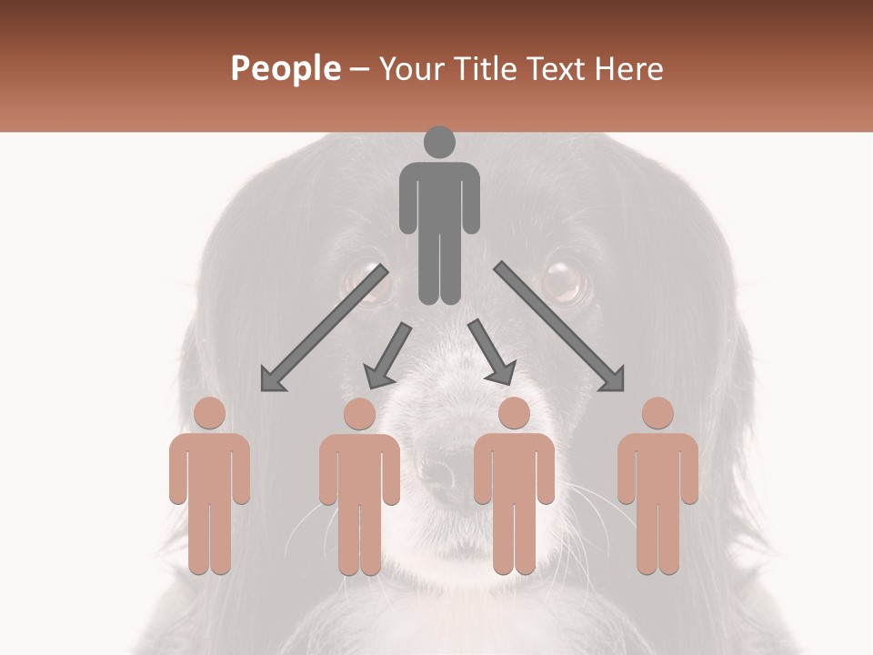A Black And White Dog Is Looking At The Camera PowerPoint Template