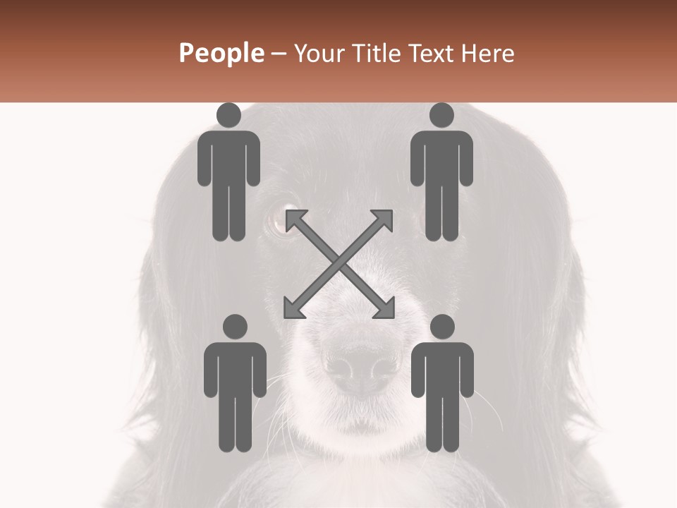 A Black And White Dog Is Looking At The Camera PowerPoint Template
