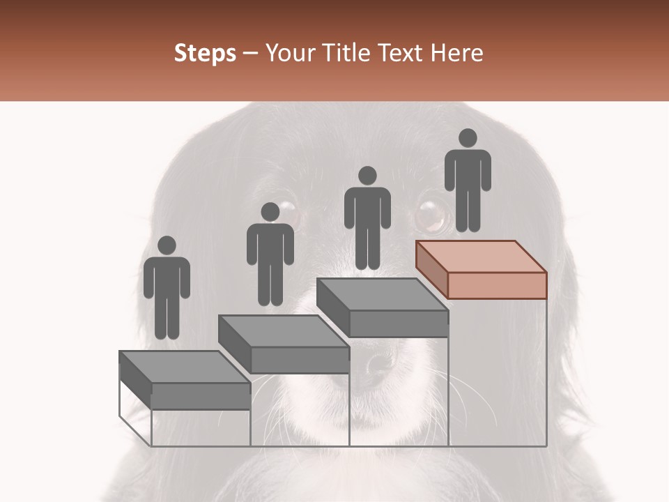 A Black And White Dog Is Looking At The Camera PowerPoint Template