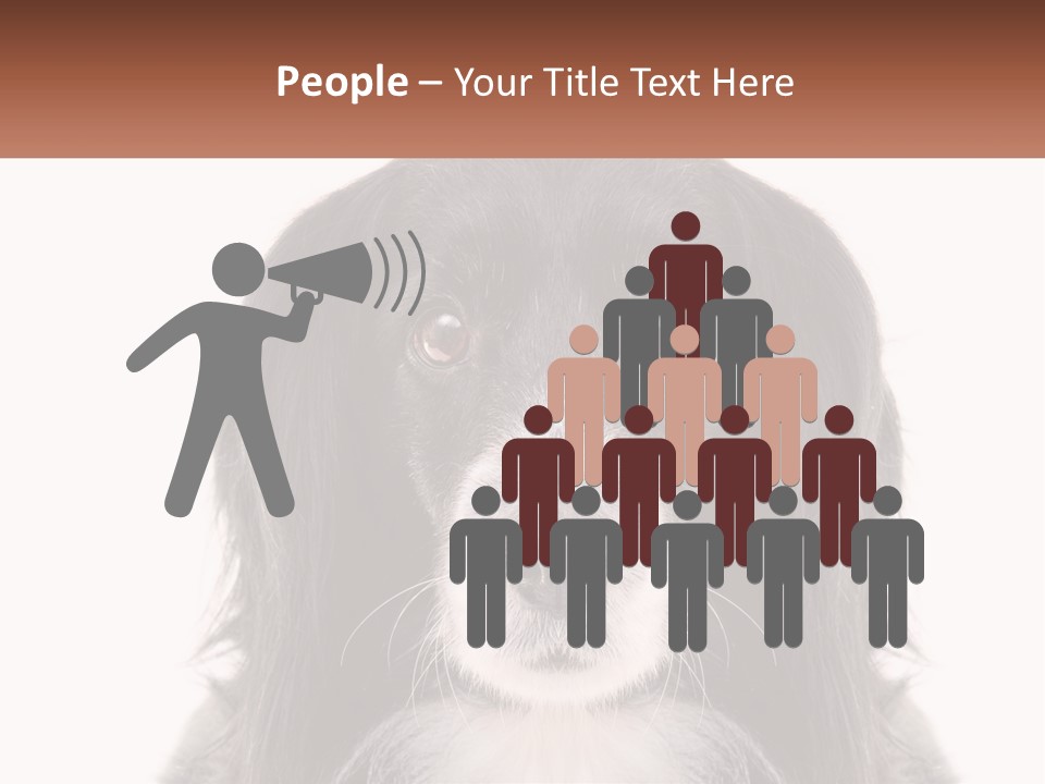 A Black And White Dog Is Looking At The Camera PowerPoint Template