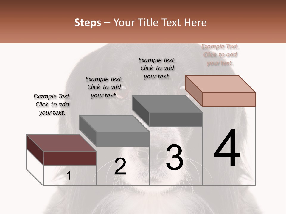 A Black And White Dog Is Looking At The Camera PowerPoint Template