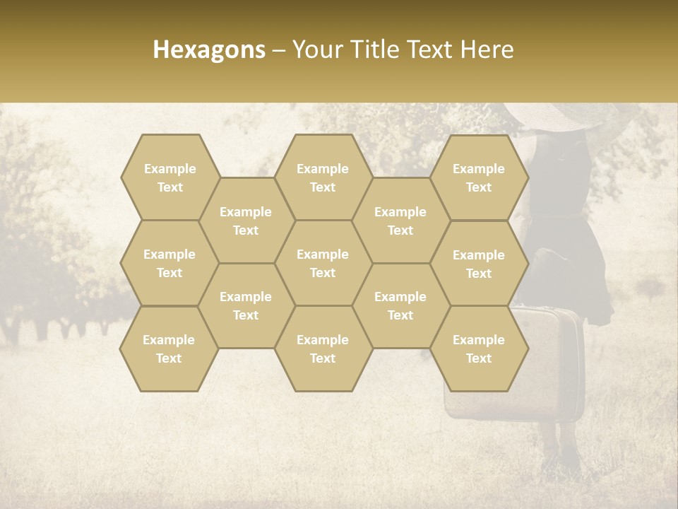 A Woman Carrying A Suitcase In A Field PowerPoint Template