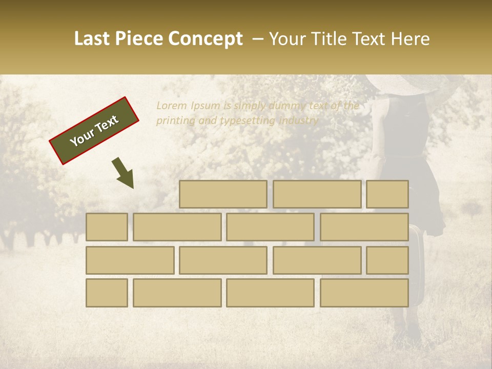 A Woman Carrying A Suitcase In A Field PowerPoint Template