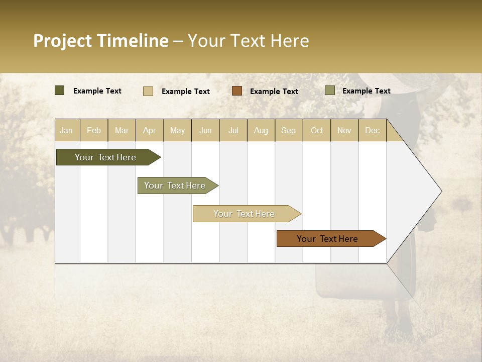 A Woman Carrying A Suitcase In A Field PowerPoint Template