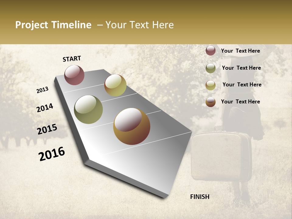 A Woman Carrying A Suitcase In A Field PowerPoint Template