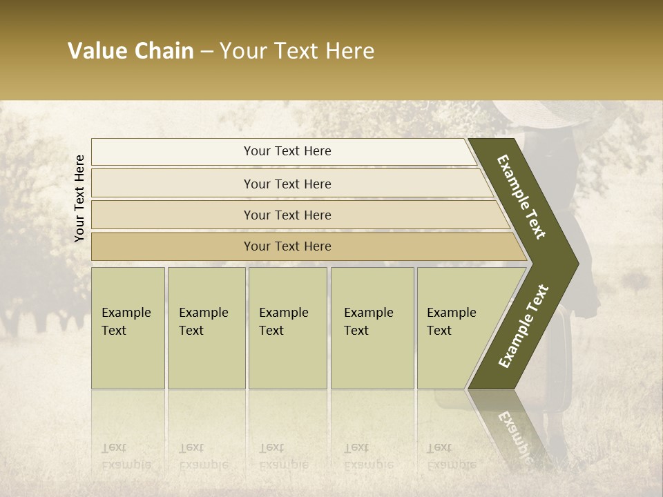 A Woman Carrying A Suitcase In A Field PowerPoint Template