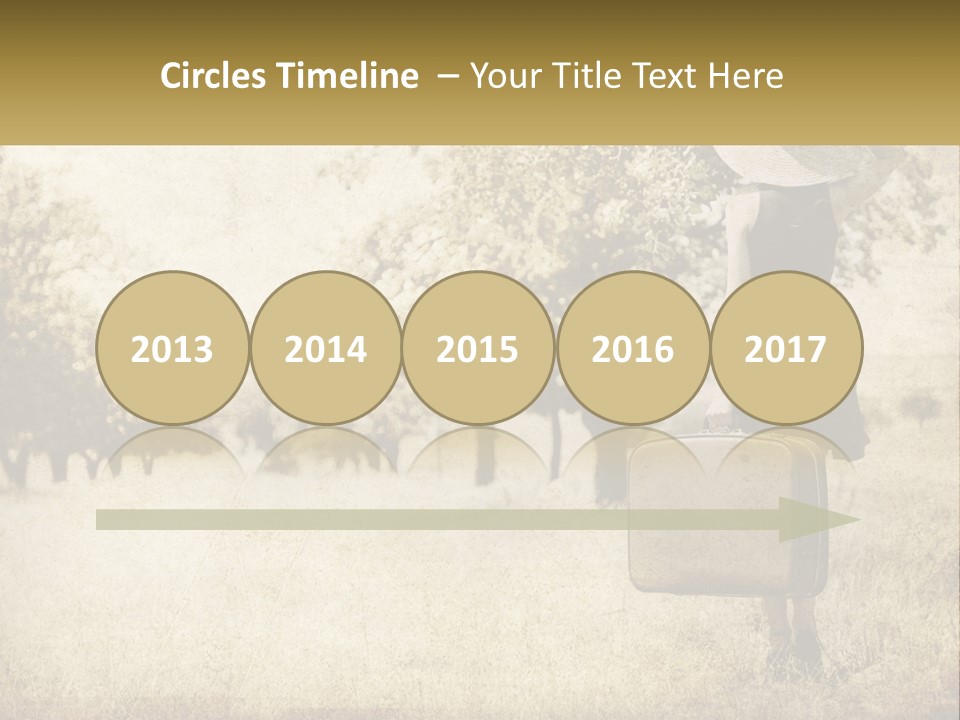 A Woman Carrying A Suitcase In A Field PowerPoint Template