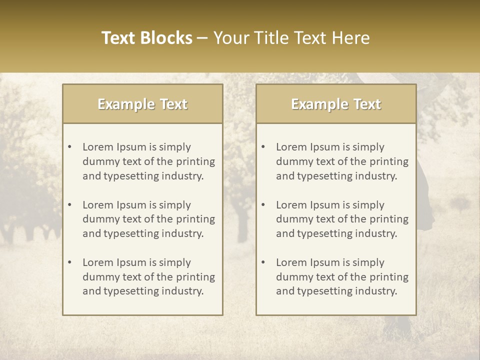 A Woman Carrying A Suitcase In A Field PowerPoint Template