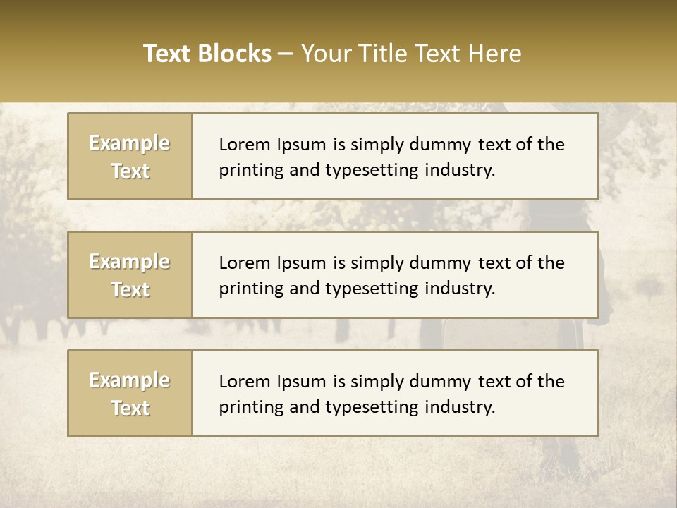A Woman Carrying A Suitcase In A Field PowerPoint Template