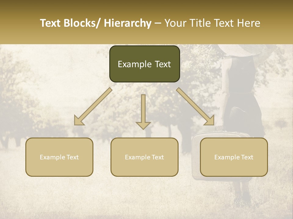 A Woman Carrying A Suitcase In A Field PowerPoint Template