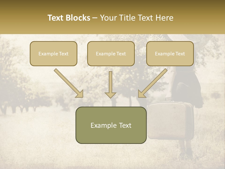 A Woman Carrying A Suitcase In A Field PowerPoint Template