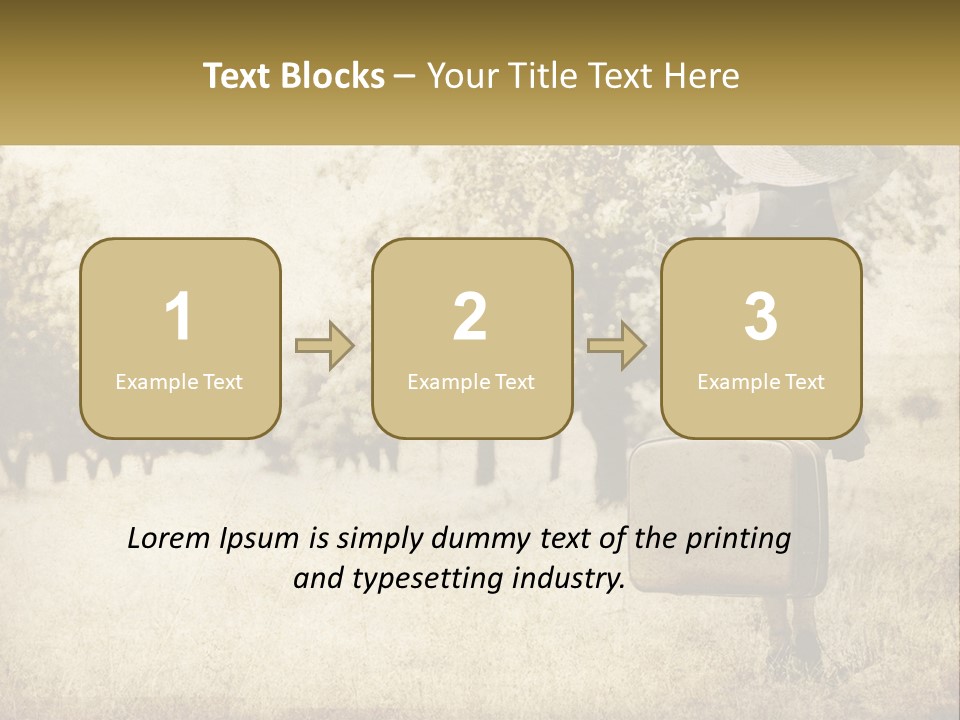 A Woman Carrying A Suitcase In A Field PowerPoint Template