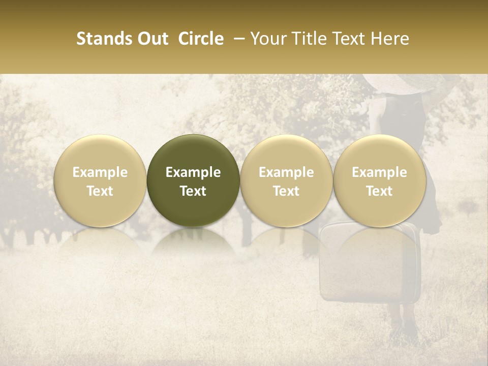 A Woman Carrying A Suitcase In A Field PowerPoint Template