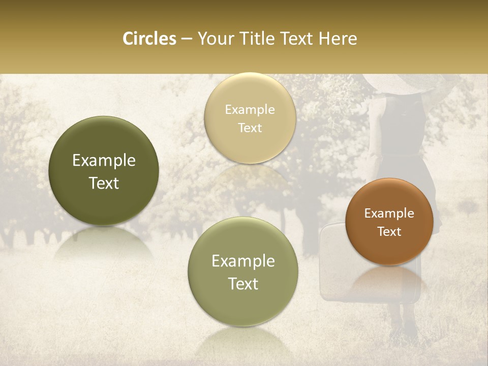 A Woman Carrying A Suitcase In A Field PowerPoint Template