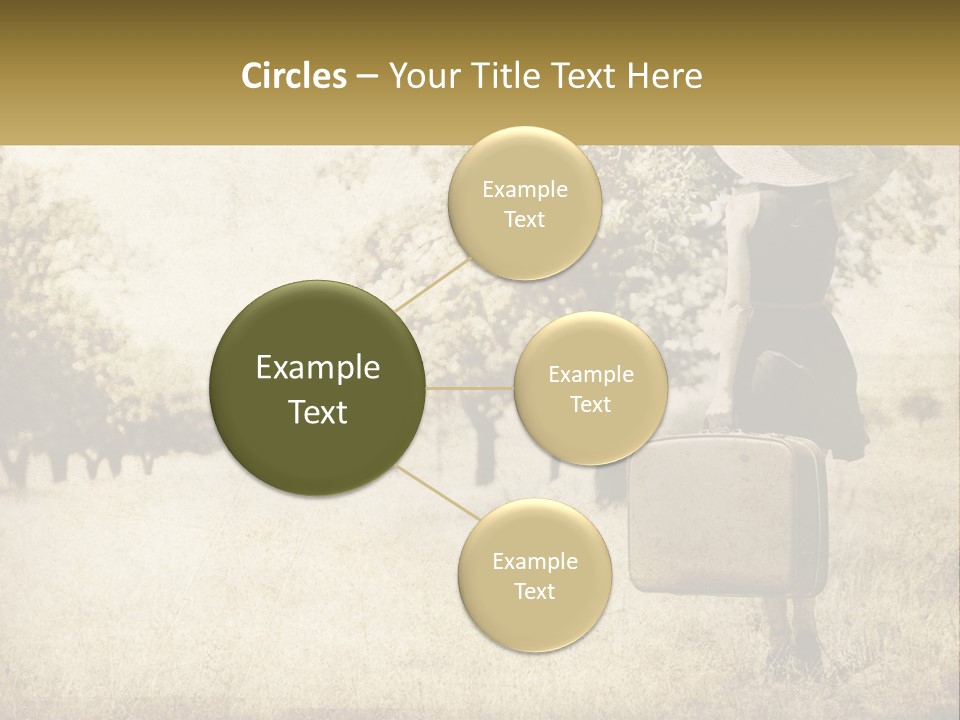 A Woman Carrying A Suitcase In A Field PowerPoint Template