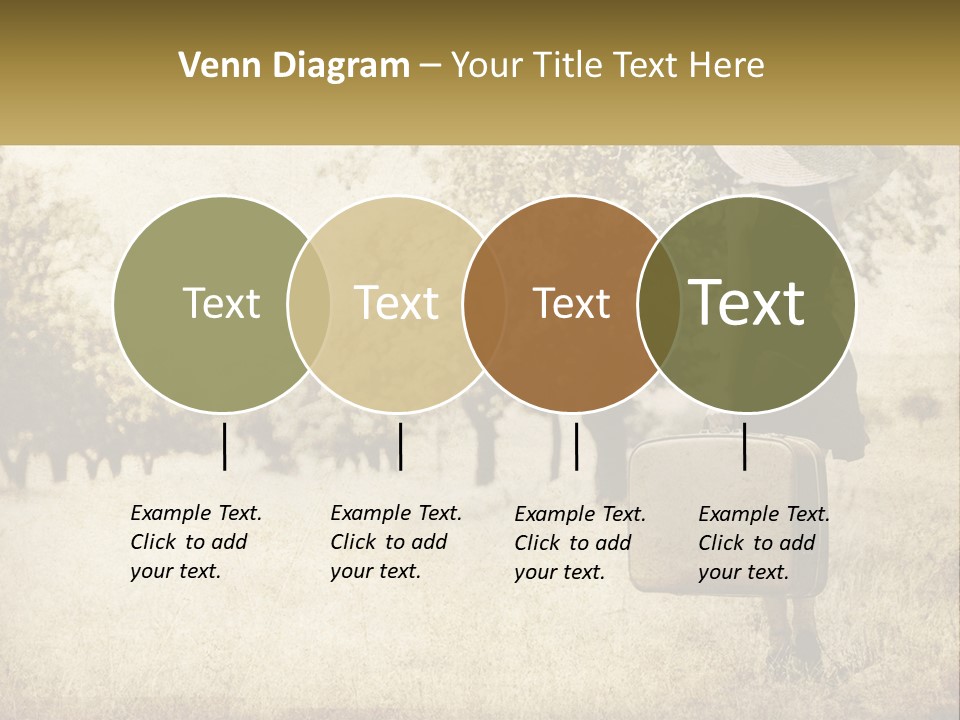 A Woman Carrying A Suitcase In A Field PowerPoint Template