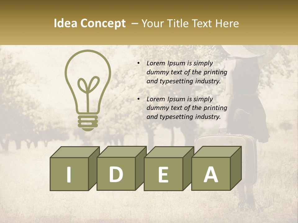 A Woman Carrying A Suitcase In A Field PowerPoint Template