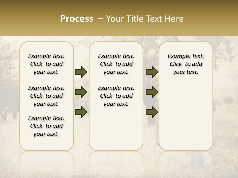 A Woman Carrying A Suitcase In A Field PowerPoint Template