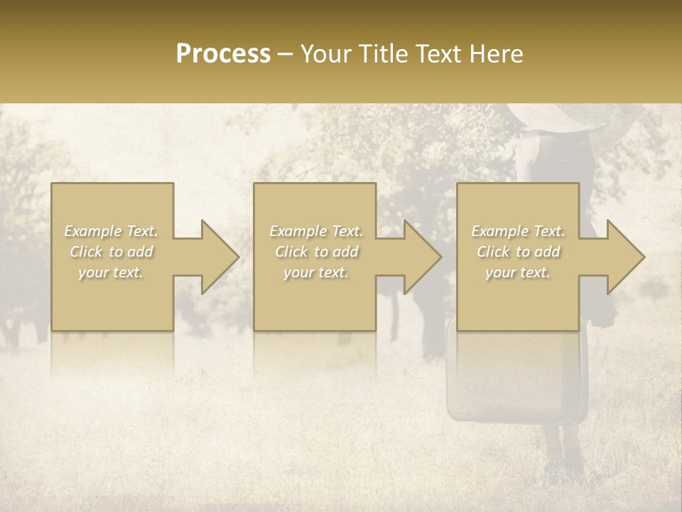 A Woman Carrying A Suitcase In A Field PowerPoint Template