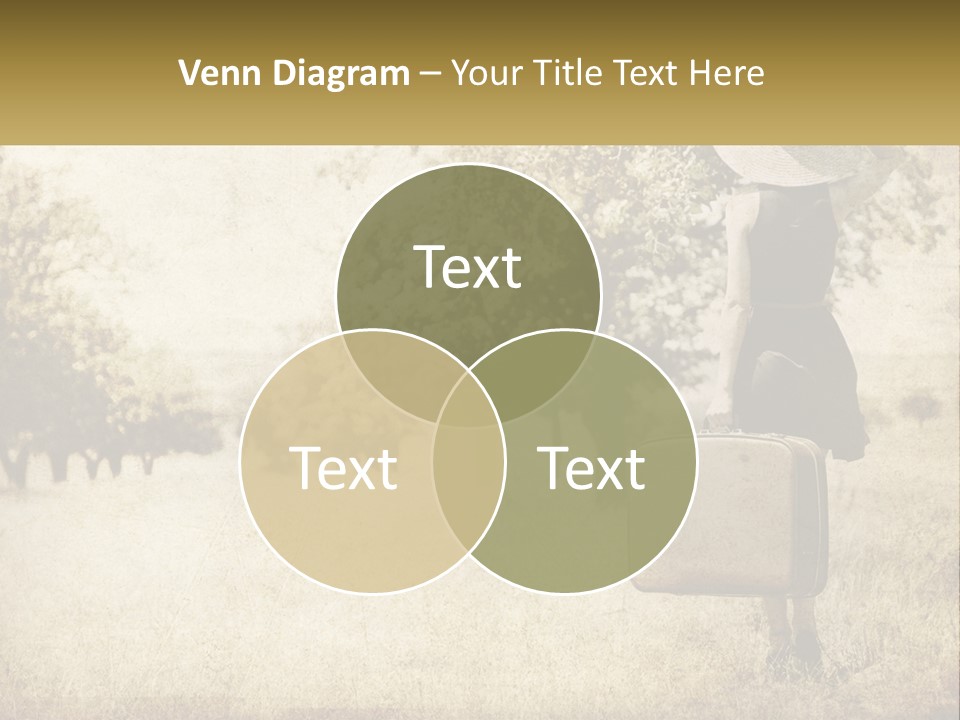 A Woman Carrying A Suitcase In A Field PowerPoint Template