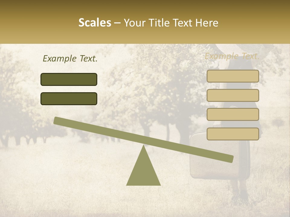 A Woman Carrying A Suitcase In A Field PowerPoint Template